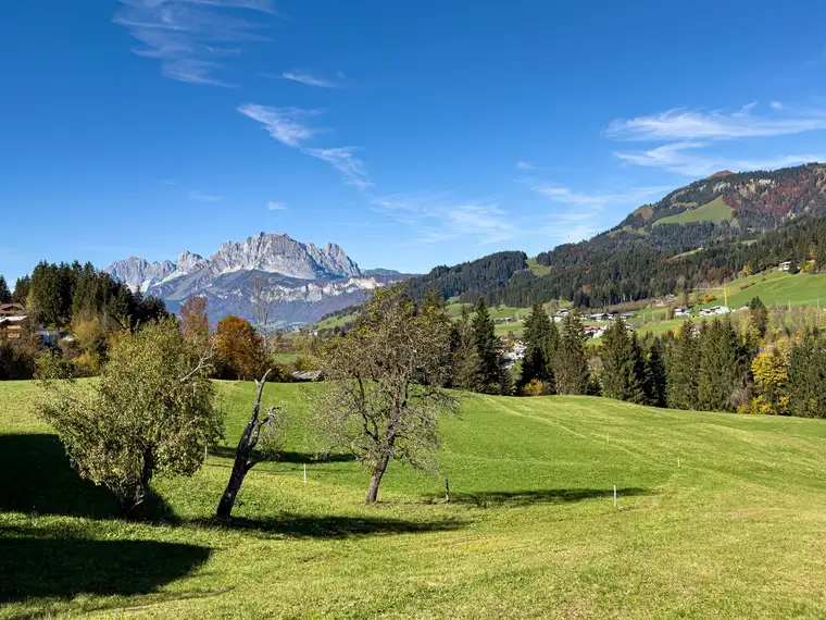 Idyllisches Grundstück mit einzigartiger Kulisse (06283)