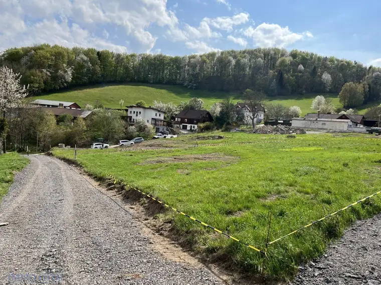 NATUR. RUHE. LEBENSQUALITÄT. - HERRLICHES GRUNDSTÜCK MITTEN IM WIENERWALD ZU KAUFEN!