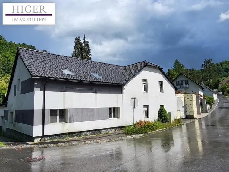 Sanierungsbedürftige Immobilie in Obermeisling!