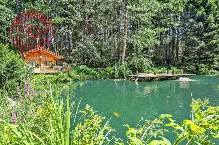 Petri Heil - Fischerparadies!Fischteiche mit romantischer Hütte und Steg