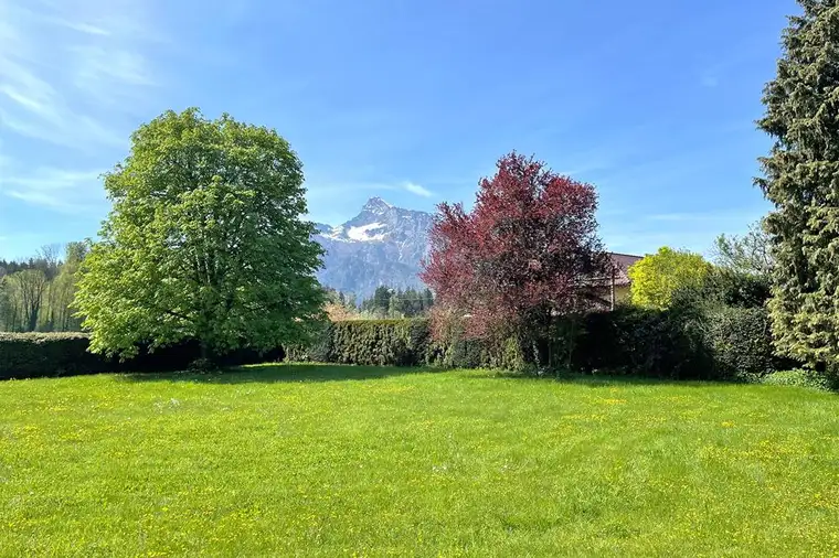 Salzburger Premiumlage in Morzg!2.850 m² sonniges Grundstück mit Bestandsvilla