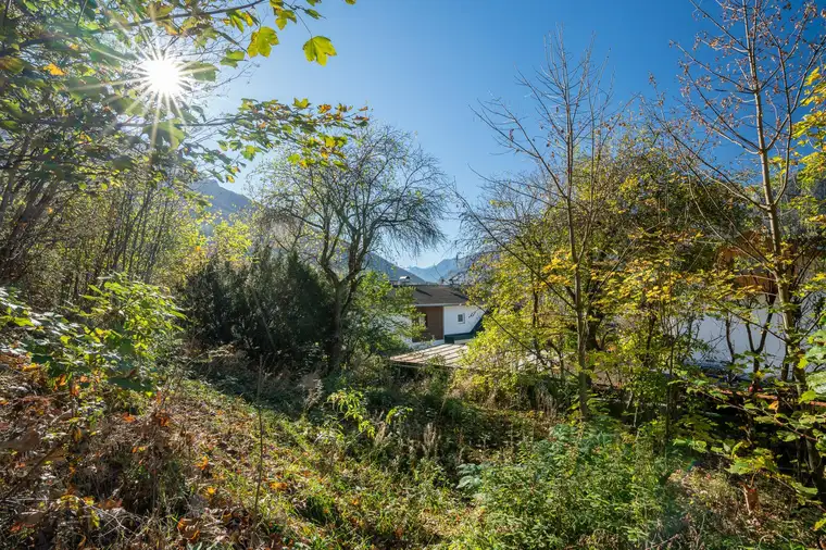 Bauparzelle mit großem Freiland- bzw. Waldgrundstück