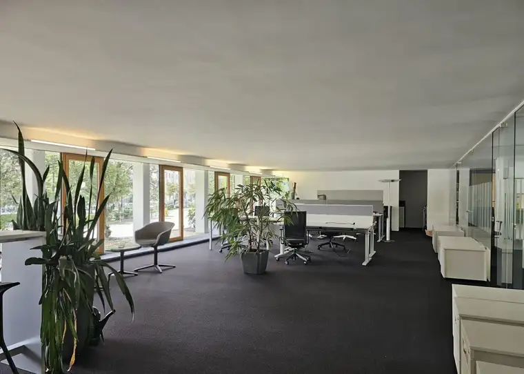 Topmoderne Büro-/Geschäftsfläche Nähe Klinik/ Uni