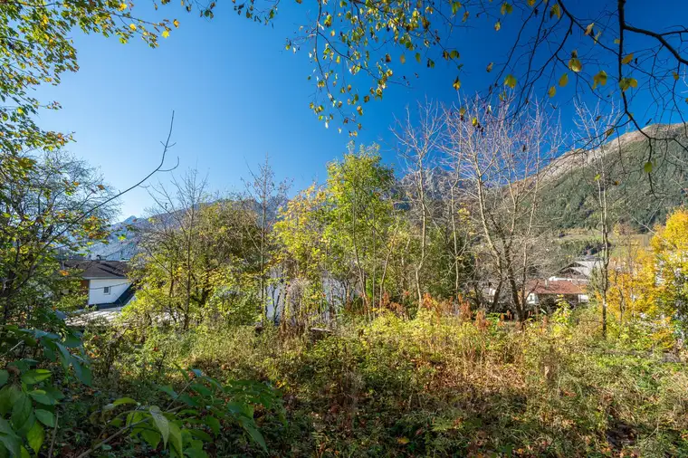 Bauparzelle mit großem Freiland- bzw. Waldgrundstück