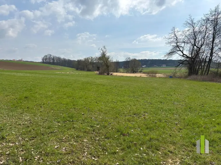 Landwirtschaftlicher Nutzgrund