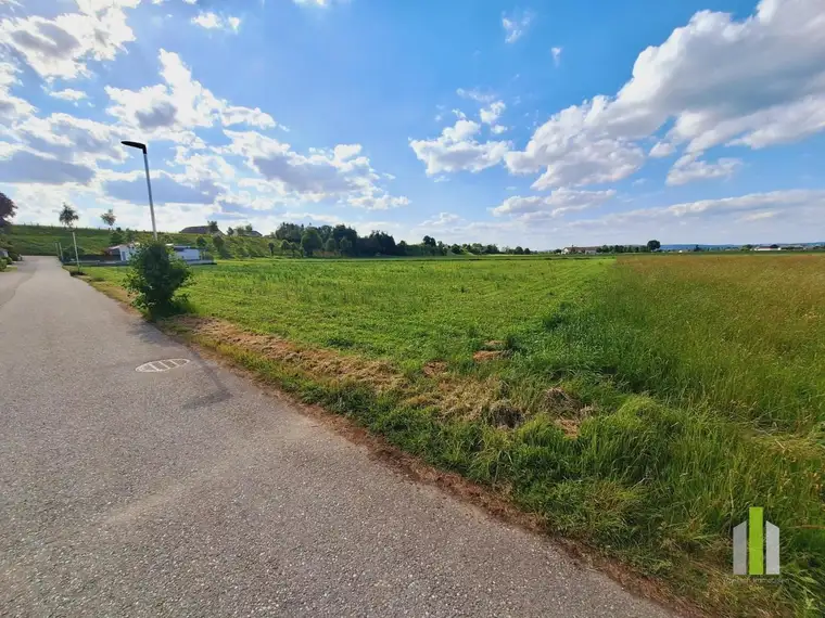 Herrliches Baugrundstück ohne Bauzwang