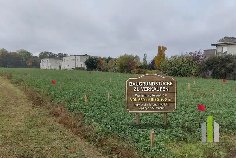 Bauen im Südburgenland: Flexible Grundstücksgrößen von klein bis XXL