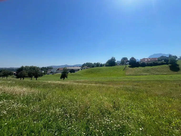 Aufgeschlossener Baugrund nahe Gmunden (provisionsfrei)