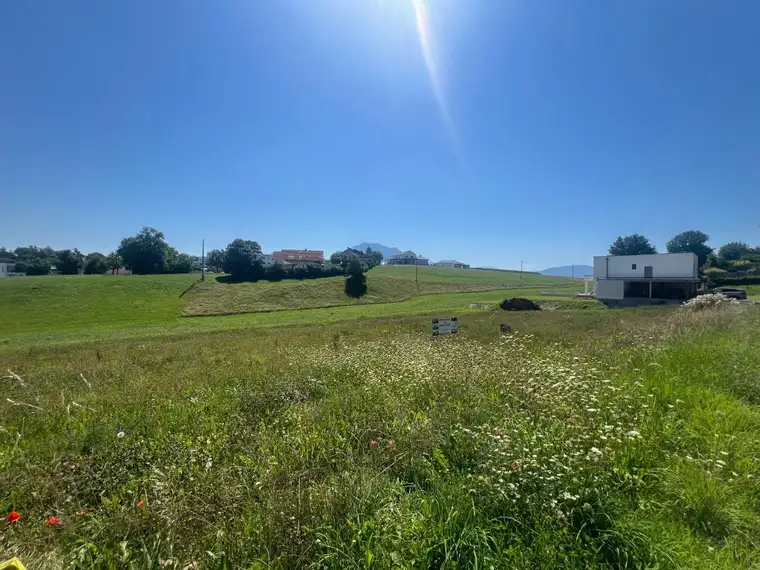 Sonniges ruhiges Grundstück in der Nähe des Traunsees, provisionsfrei!
