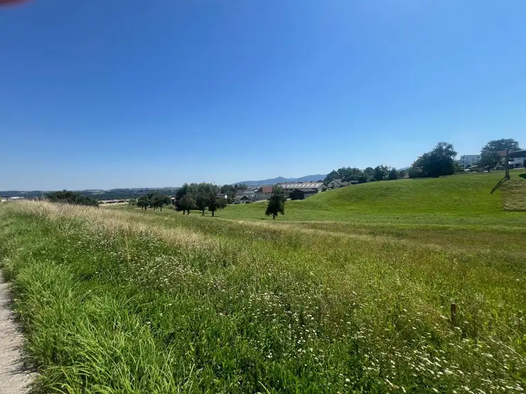 Sonniges Eckgrundstück in idealer Größe nähe Gmunden