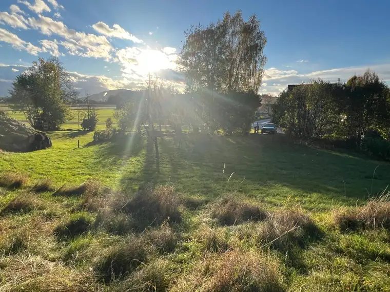 Großer sonniger Baugrund bei Gschwandt