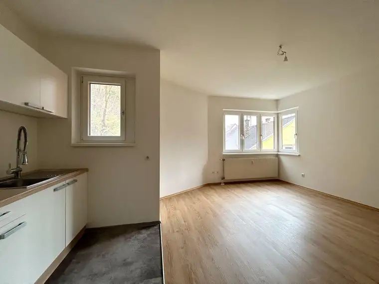 KLEINE PREISWERTE 2 ZIMMER WOHNUNG IN SARMINGSTEIN