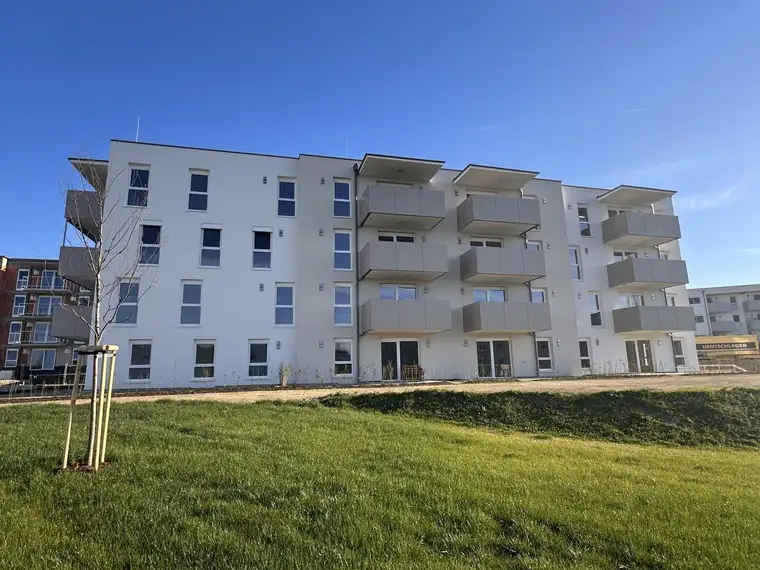 NEUBAU - Ihr NEUES ZUHAUSE zwischen Natur, Komfort und Zukunft in HAGENBERG