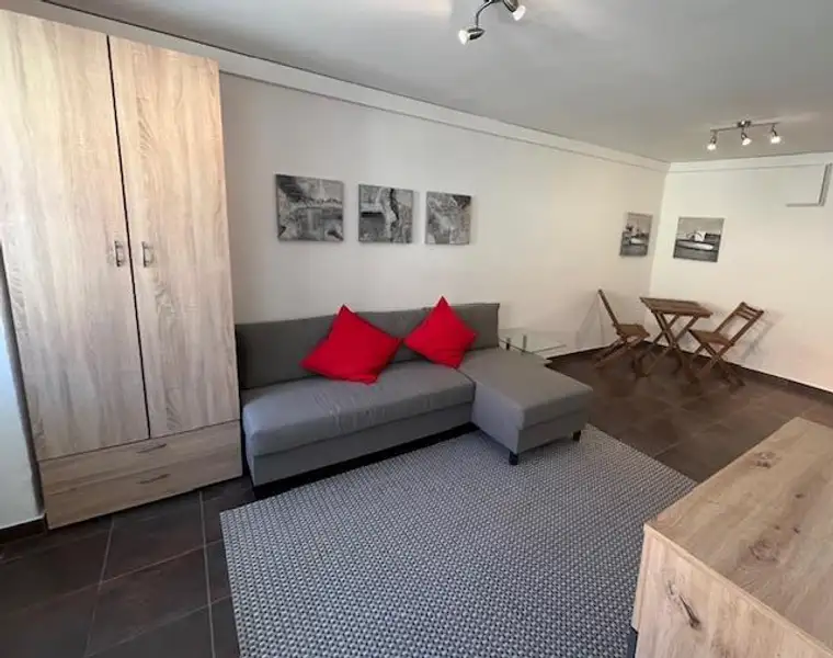 Toplage: super möbliertes 1 Zi.-Apartment mit begrüntem Innenhof