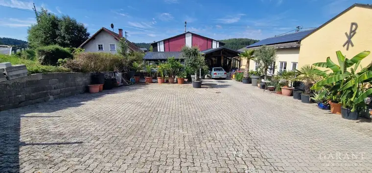 Vielseitiges Raumwunder an der Grenze - Modernes Wohnen und Arbeiten unter einem Dach