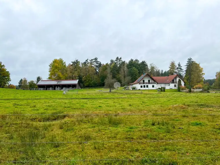 Rarität: Bio-Bauernhof im Waldviertel