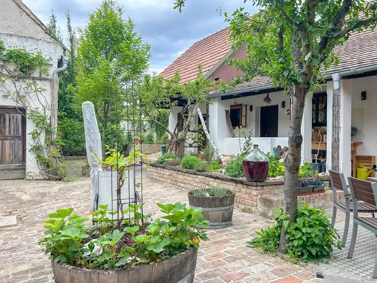 Ein Zuhause mit Seele im Herzen von Falkenstein