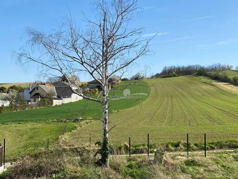 Erstbezug: Charmante Doppelhaushälfte in Schleinbach