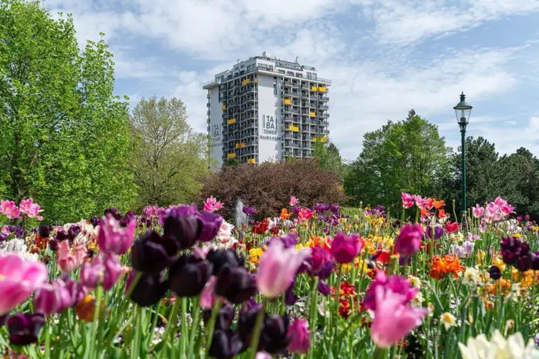 Traumlage - Serviced Apartment am Kurpark Oberlaa - auch als Büro nutzbar