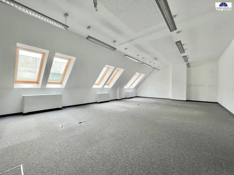 Große Bürofläche direkt bei der U3 Zipperer Straße