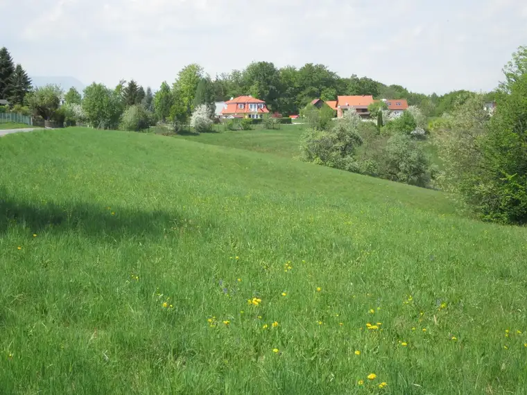 Baugründe in Laßnitzhöhe-Nestelbach, mit Möglichkeit zur Zusammenschließung