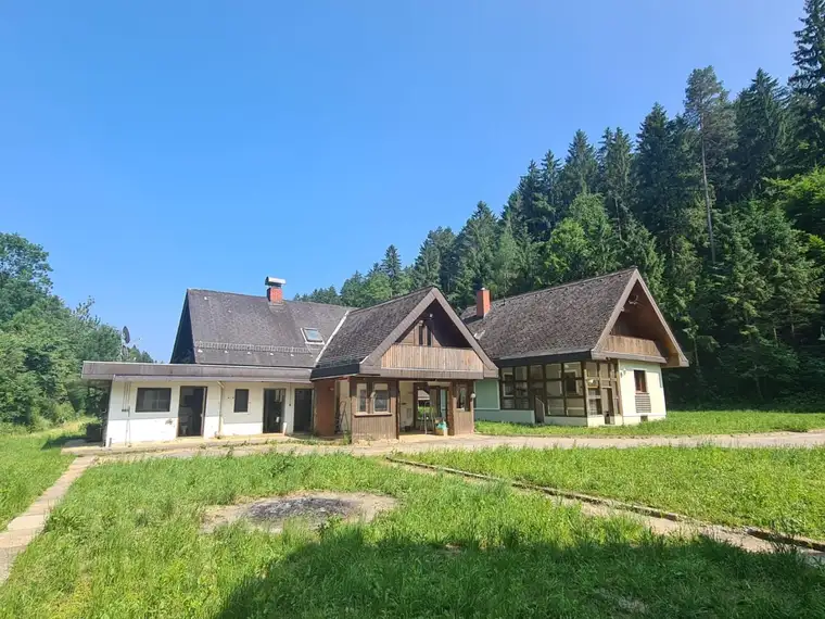 Charmantes Sanierungsobjekt mit großen Grundstück, Werkstatt und Nebengebäuden