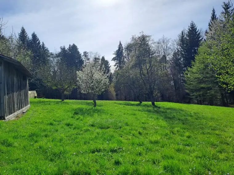 12.000 m² Alleinlage in Graz-Umgebung – mit Wohnhaus &amp; Nebengebäude