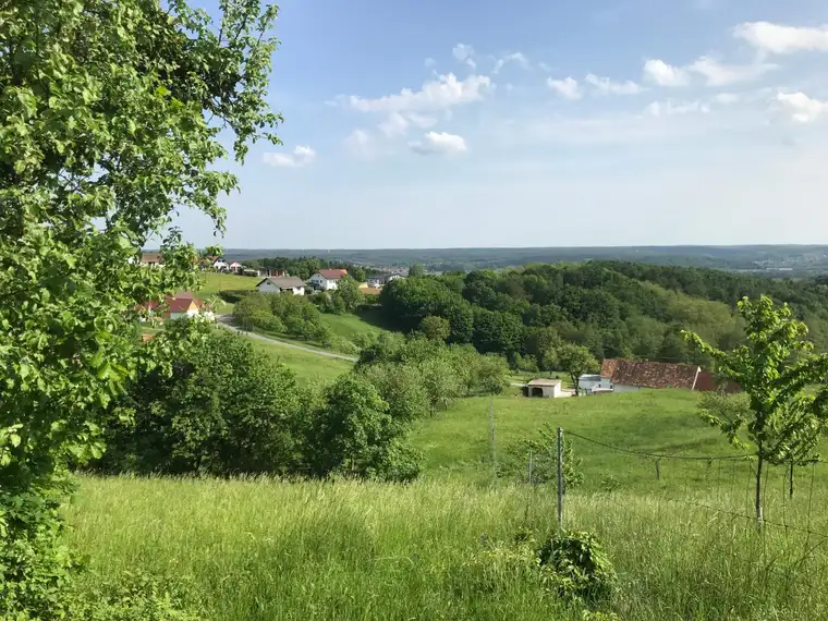 Großes Grundstück mit Altbestand (Winzerhaus) in schöner Ruhelage im Dreiländereck Österreich/Slowenien/Ungarn