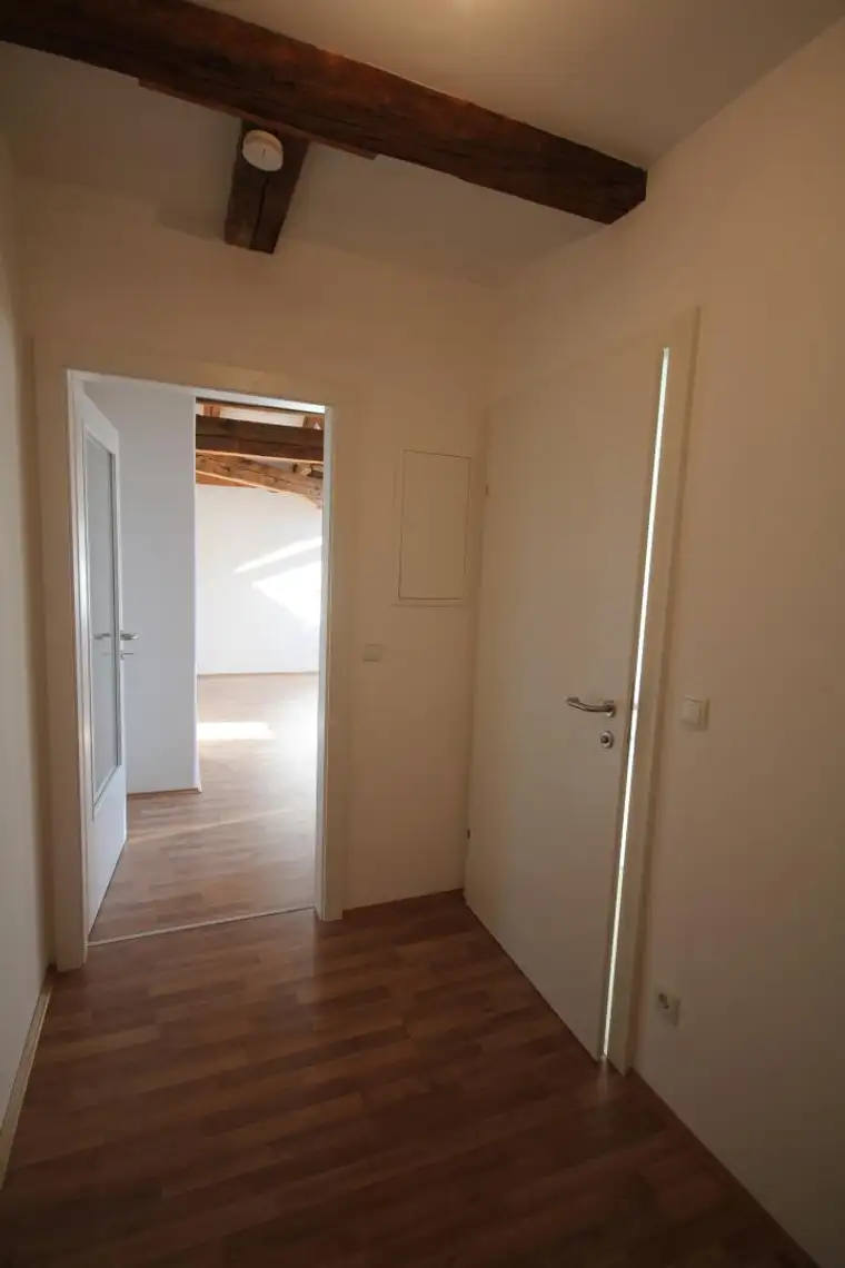 Villa Liebenau! Neuwertige Mansarden-Dachgeschoss-Wohnung mit 2 Zimmern, [GF,LH]