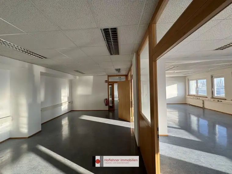 Modernes Büro in Wiener Neudorf - Parkplätze inkludiert! - Nähe A2