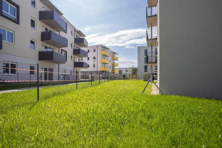 Wohnen im Grünen - ERSTBEZUG "ein viertel grün" in Wr. Neustadt - 3 Zimmerwohnung mit XL-Garten