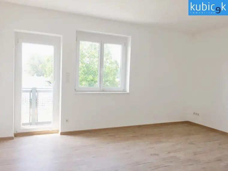 Thomas Kubicek, Alois Kubicek Gesellschaft m. b. H.  Büro Wien
