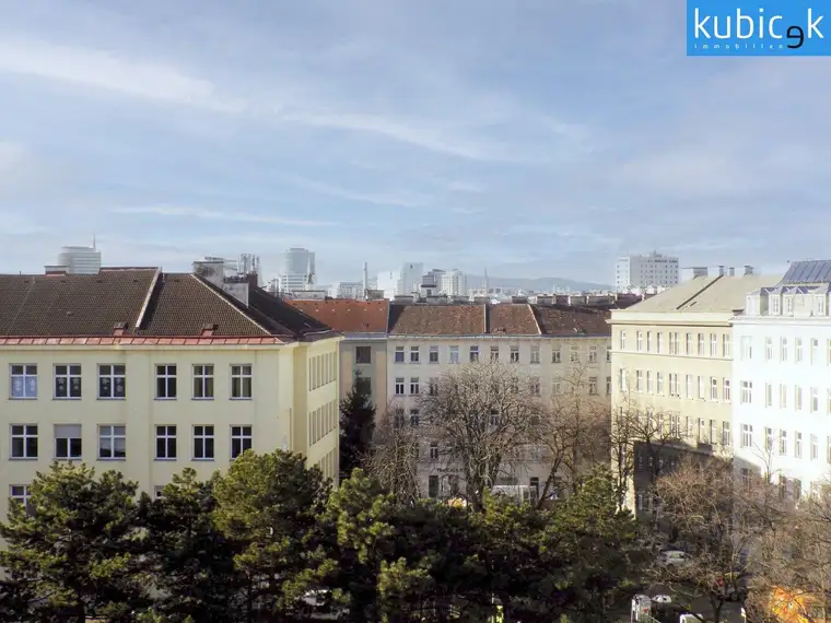 Thomas Kubicek, Alois Kubicek Gesellschaft m. b. H.  Büro Wien
