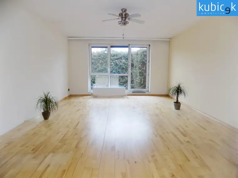 Kevin Troll, Alois Kubicek Gesellschaft m. b. H.  Büro Wien