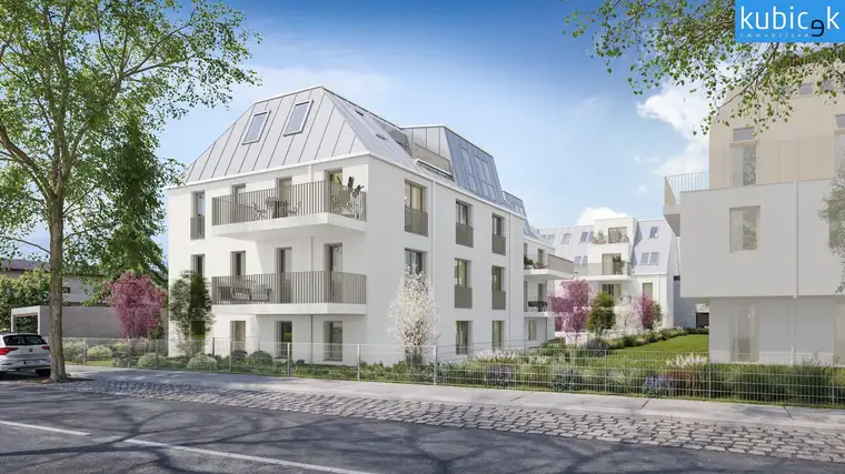 Thomas Kubicek, Alois Kubicek Gesellschaft m. b. H.  Büro Wien