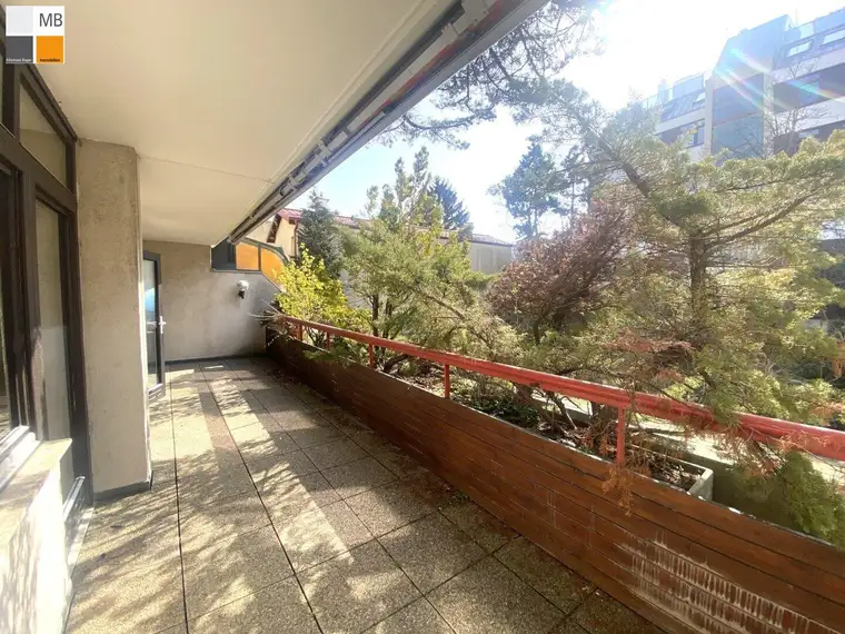 Michael Bajer, Michael Bajer Immobilien