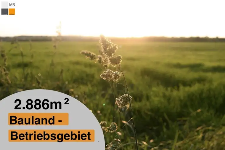 > > Betriebsbaugrund in bester Lage - schnell nach WIEN, NÖ, SLO und HU I MB IMMOBILIEN < <