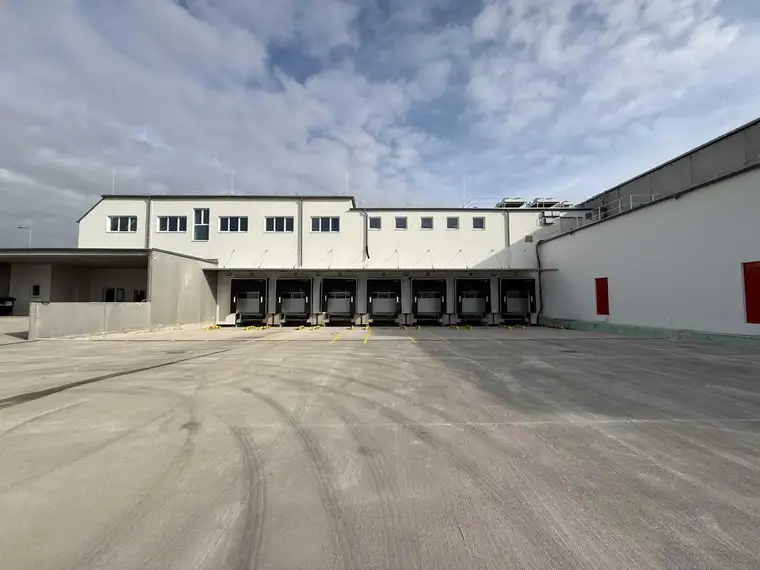 Felix Lanzerstorfer, Modesta Real Estate
