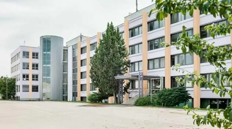 Fabian Muzik, Modesta Real Estate