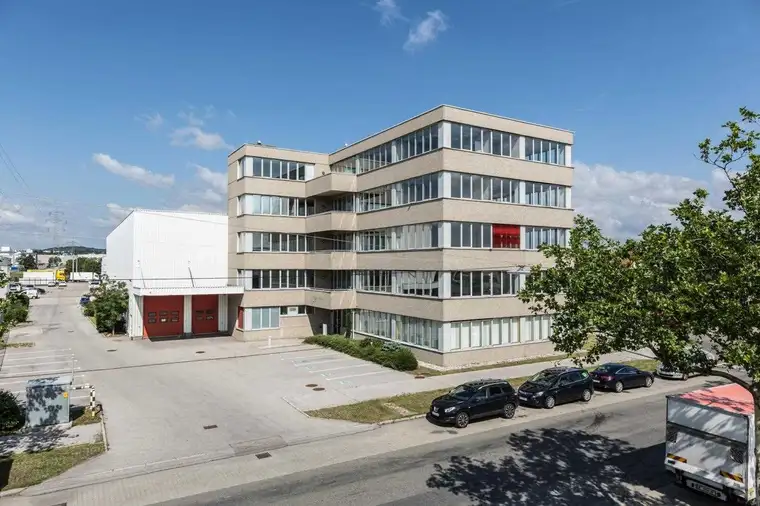 Fabian Muzik, Modesta Real Estate
