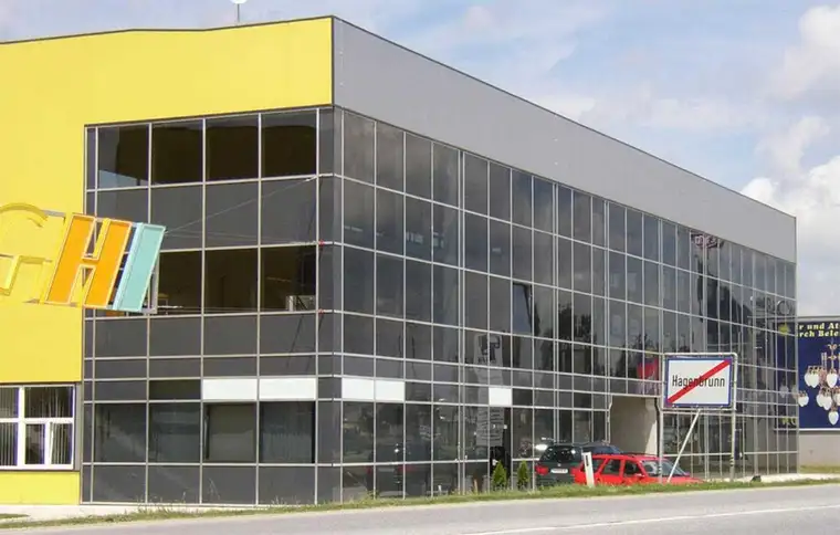 Antonia Vrcic, Modesta Real Estate