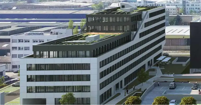 Antonia Vrcic, Modesta Real Estate
