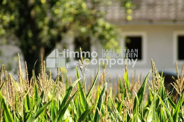 Renoviertes Haus wartet auf SIE ** mit uneinsichtigem gepflegten Garten **