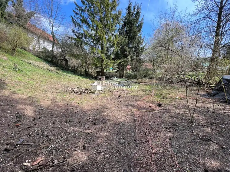 BAUGRUND - Großes Grundstück in Stadl-Paura