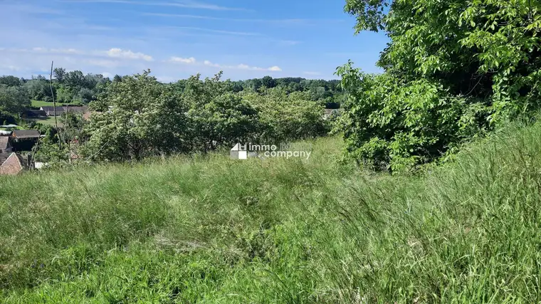 Traumhaftes Baugrundstück in Thallern: 4392 m² für Ihr Eigenheim um nur 249.000 €!