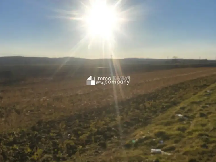 Sonniger Baugrund bei Jennersdorf
