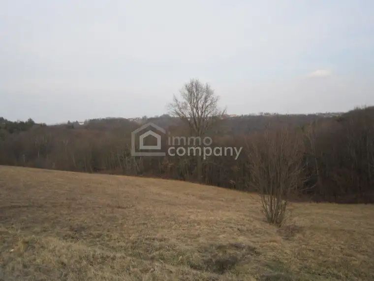 Baugrund mit Aussicht in Höhenlage nahe Jennersdorf