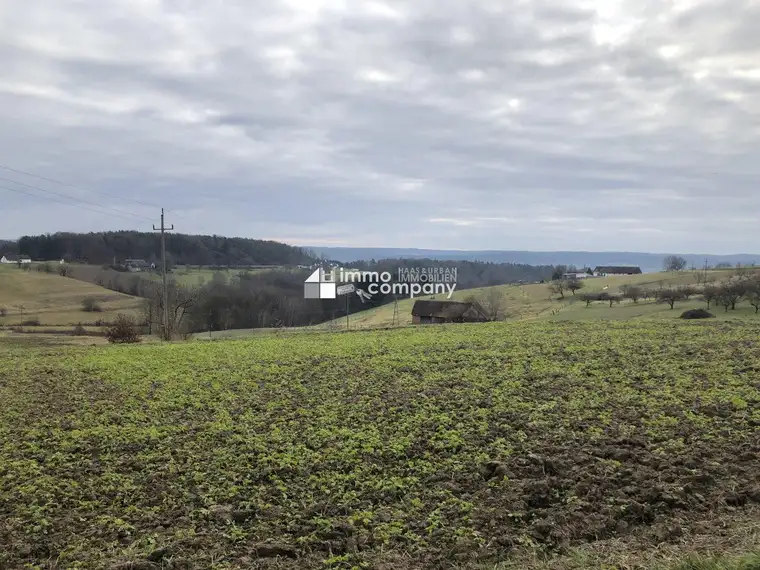 DAS Platzerl, das alle suchen - Baugrund -