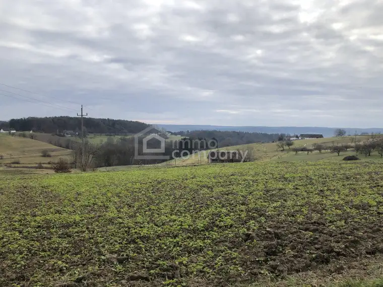 DAS Platzerl, das alle suchen - Baugrund -