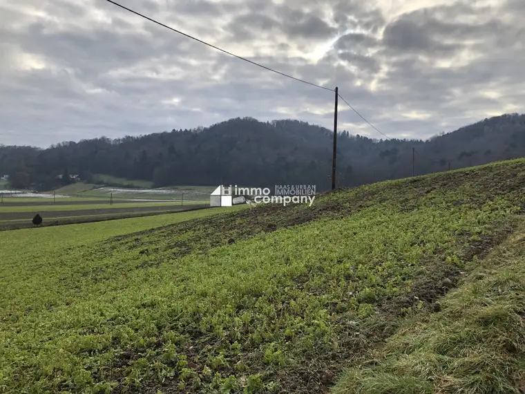 Über 1 ha Grund mit Bauland nahe Jennersdorf